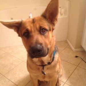 Meet your Posher, Hailey